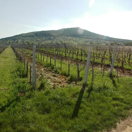 Sarokhaz Vendeghaz Gonter